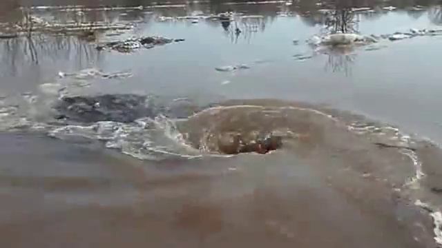 Водоворот