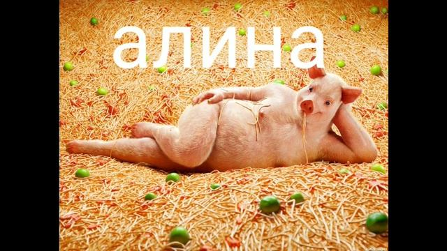 какой ты кабан по имени? видео про Украину в хорош качестве! смотреть онлайн