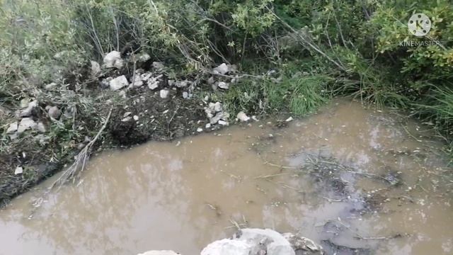 Возрождение канала, выезд за золотом с подписчиком. смотреть онлайн