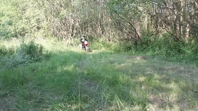HONDA CRF 150 RB CROSS-COUNTRY смотреть онлайн