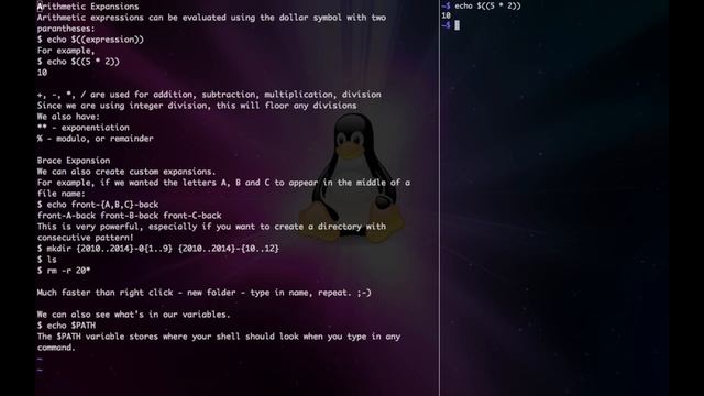 Command Line Tutorial 13. Expansions: echo, pathname, arithmetic and brace expansions смотреть онлайн