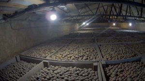 Хранилище для картофеля СВОИМИ РУКАМИ!