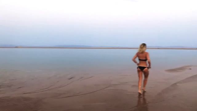 Серая Цапля в Дахабе. В мире животных с Олей Миллен. Dahab Egypt смотреть онлайн