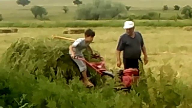 С трактора за сено смотреть онлайн