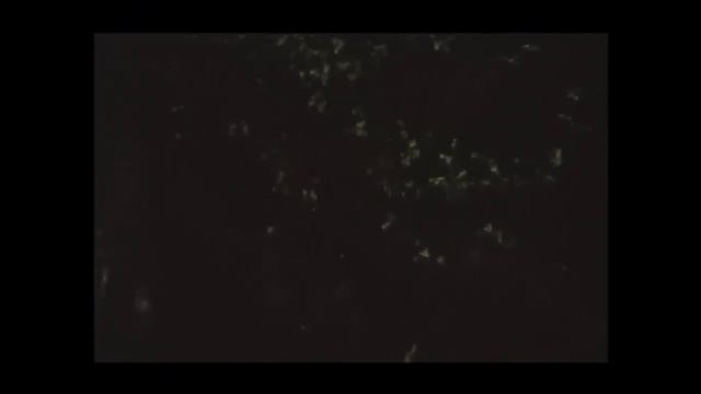 Ayollar Saltanati- Retro (o‘zbek Kino) | Аёллар Салтанати- ретро (o‘zbek кино)