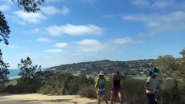 США Torrey Pines Заповедник Тихий океан Белки (Часть 2) смотреть онлайн