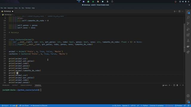 Python - Aula 15 (Parte 2) - Herança e Polimorfismo смотреть онлайн