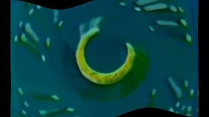 Preview 2 Спокойной Ночи Малыши DnB Remix Effects