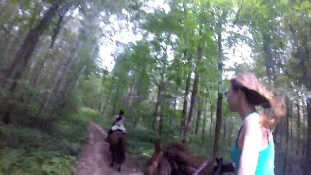 Тридцать километров леса на Go Pro смотреть онлайн
