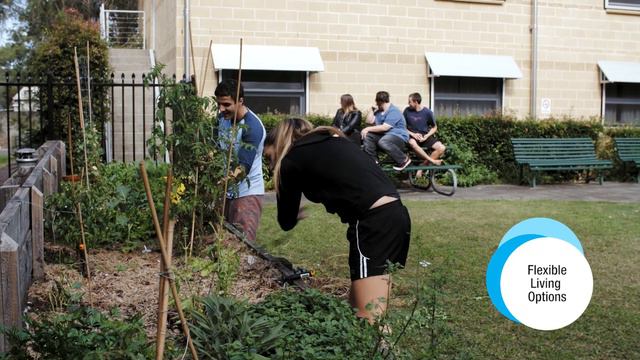 UON Student Living - A Snapshot смотреть онлайн