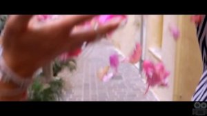 Александр Панайотов - Именами