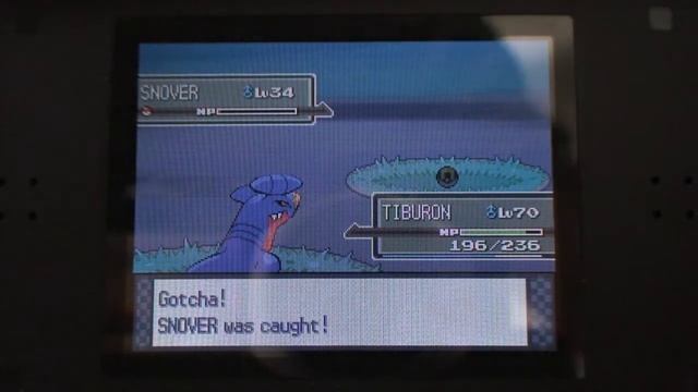 Shiny Snover Random Shiny Chain of 0 смотреть онлайн