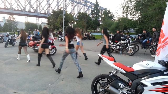 Гадкий койот атакует смотреть онлайн