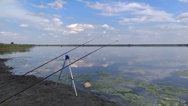 Червяное. 23 июня 2022 г.