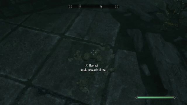 Where to find Nordic Barnacle - Skyrim смотреть онлайн