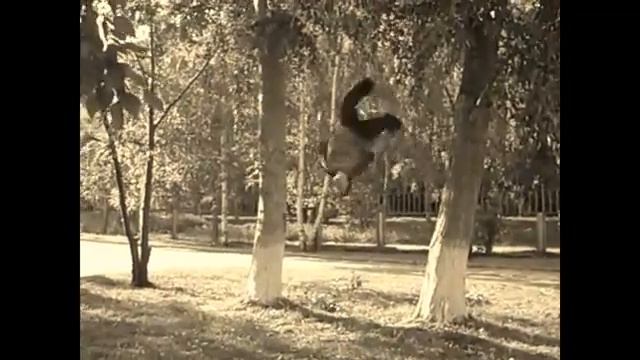 екатеринбург жби team street monkeys смотреть онлайн