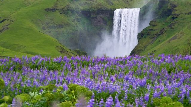 Сергей Грищук музыка для души, Бесконечно красивая музыка, можно слушать песню сергея грищука вечно