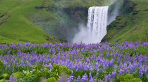Сергей Грищук музыка для души, Бесконечно красивая музыка, можно слушать песню сергея грищука вечно