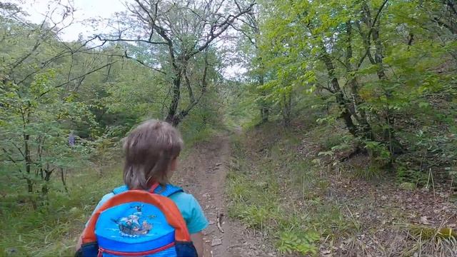 Что с ВОДОЙ в КРЫМУ? Как живут люди без Воды в Судаке | Отдых в Крыму 2020