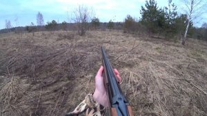 Охота на вальдшнепа с МР-27