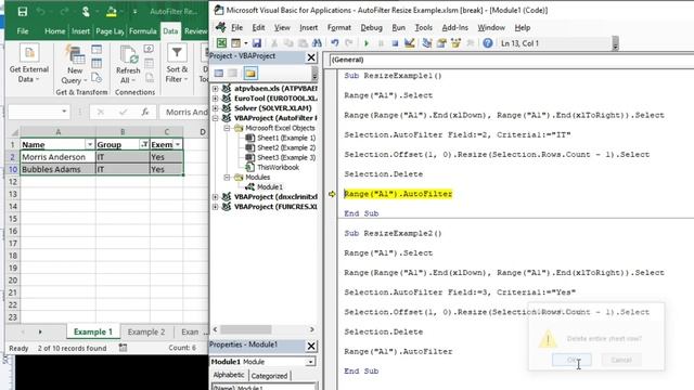 Microsoft Excel VBA | How to Use Autofilter and Resize смотреть онлайн
