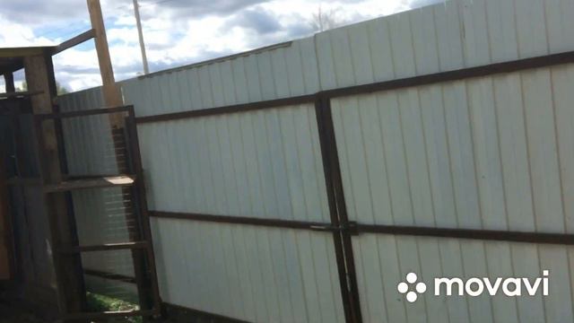 Николаевские голуби города Усмань .Племенной Сизон. 13. смотреть онлайн