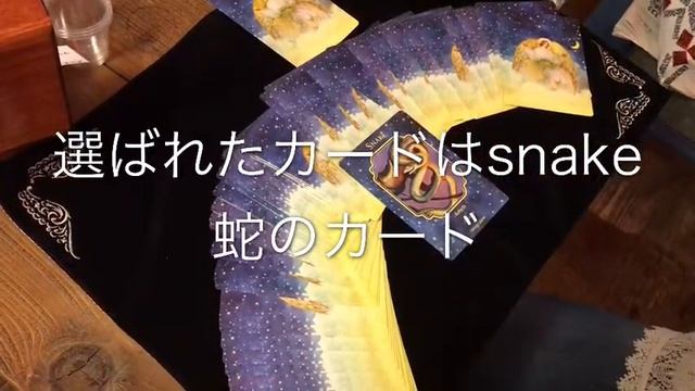 Celeste's weekly oracle 9/19-9/25 смотреть онлайн