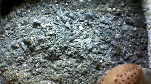 From Internet Camera(Turmfalken[03:1A:A5])2014/07/02,16:22:01_D смотреть онлайн