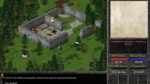 Eschalon Book I (2007) (PC) (Basilisk Games) смотреть онлайн