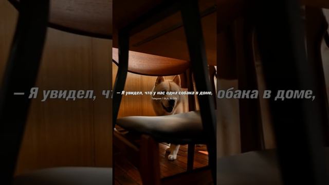 Истинное богатство. Притча про жизнь со смыслом смотреть онлайн