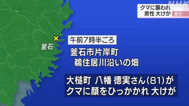 クマに襲われ８１歳男性大けが 岩手県釜石市20200624(動物愛誤)(農業損害)(製造車禍.傷人.人身被害)(Animal Attacks)(アニマルホーダー.動物囤積症)(狂犬病.Rabies) смотреть онлайн