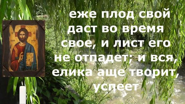 Душа поёт от молитвы! Включи и ощути прилив сил Псалом 1 Блажен Муж смотреть онлайн