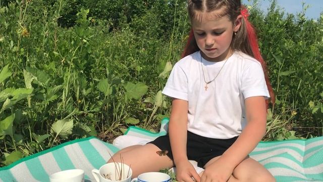 ЧАЙ из ТРАВ и ЯГОД. 4 лучших рецептов чая | ЛЕСНЫЕ ФЕИ смотреть онлайн