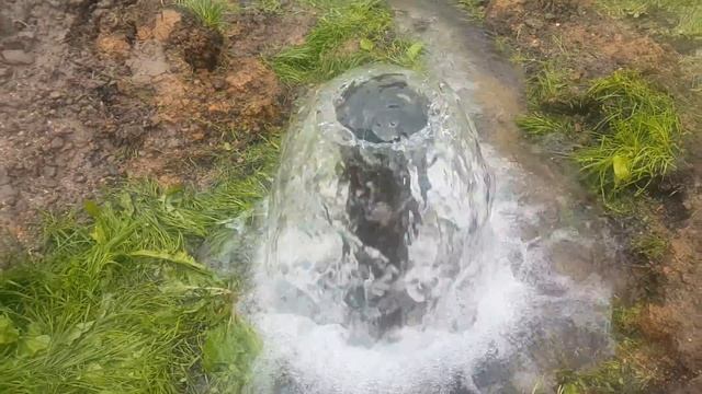самоизлив лотос смотреть онлайн
