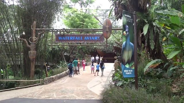 Jurong Bird Park, 2014, Singapore, HD Experience смотреть онлайн