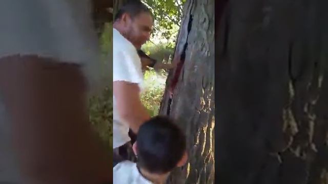 Вот что бывает когда нет мозгов смотреть онлайн