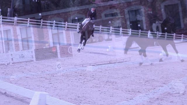 Kamaliya выступление и награждения на соревнованиях по выезке 22_07_2018 смотреть онлайн