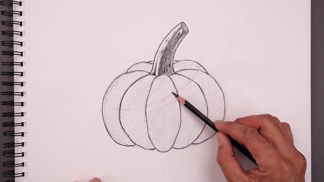 How To Draw a Pumpkin | Drawing Tutorial for Beginners смотреть онлайн