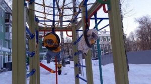 Басики гуляют на улице! Встретили друга!