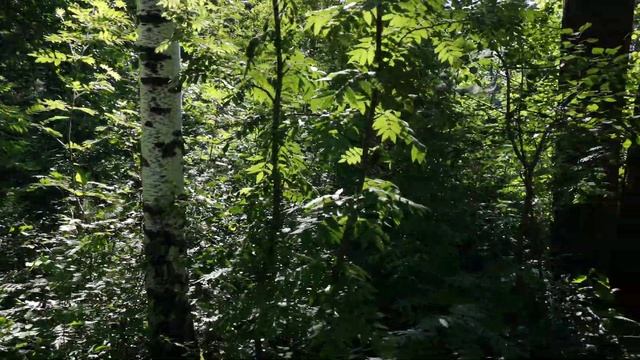 Дача геолог 2(2) смотреть онлайн