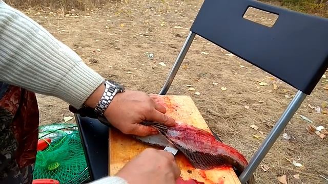 Ириклинское водохранилище. Недельный отпуск. смотреть онлайн