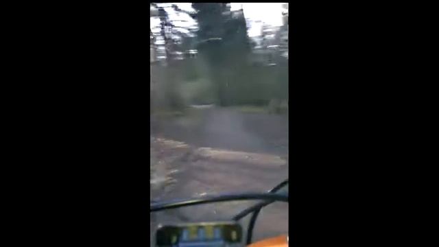 ВелоПрогулка по лесу. Москва. смотреть онлайн