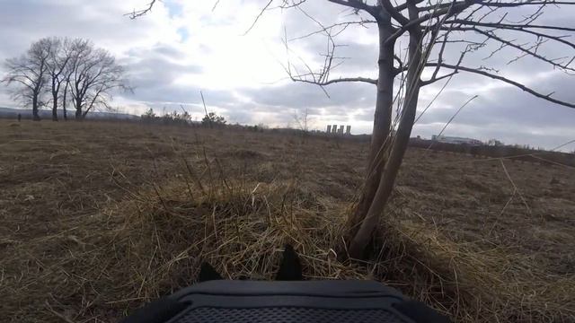 GOPRO, BASENJI, БАСЕНДЖИ, ТАТЫШЕВ, КРАСНОЯРСК смотреть онлайн