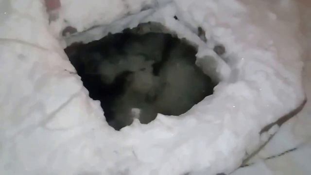 Как мы зимой поим кроликов смотреть онлайн