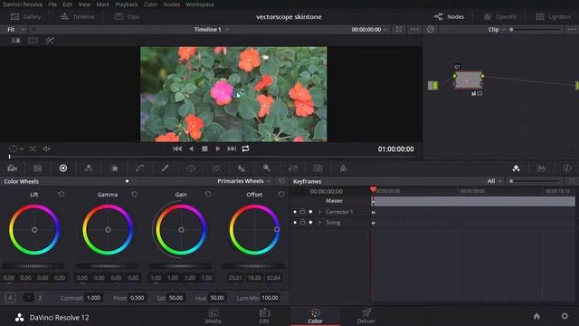 ตอนที่ 21 Nodes ชนิดต่างๆใน Davinci Resolve смотреть онлайн