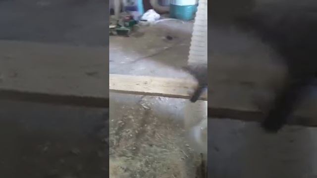 Рейсмусовый двухсторонний станок MB204C смотреть онлайн