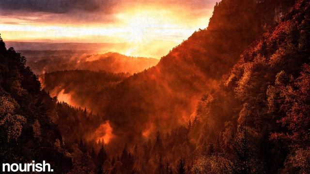 Warmth - Solstice (The Aurora Principle Remix) смотреть онлайн