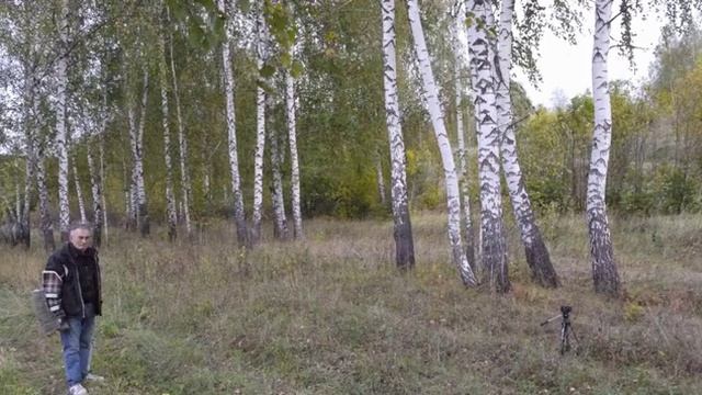 КАНЕ КОРСО-Дрессировка-Липецк смотреть онлайн