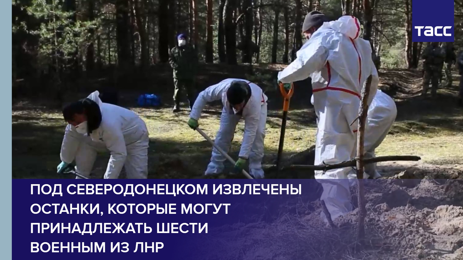 Под Северодонецком извлечены останки, которые могут принадлежать шести военным из ЛНР #shorts