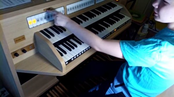 Небольшой обзор домашнего органа. Часть 2. Ножная клавиатура.